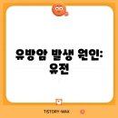 개인생활탐구 이미지