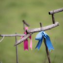 도로줌마을 이미지