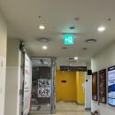 [영화 리뷰] 인사이드아웃 2 / 불광 CGV (쿠키 영상 여부)