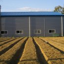 풍산태사로(서후면) 이미지