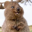 리세움점 | 2026 월드샤프 코리아🌍 글로벌 한국어 멘토 합격 후기🌱