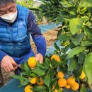 김주철농장 이미지