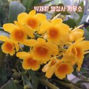 양질지하수