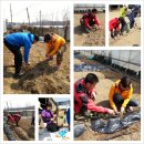 종수 농장 이미지