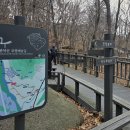 관악산 무장애숲길 이미지