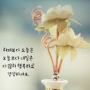 오거리약국 이미지