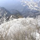 역삼-1288 이미지