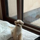 레이즈어라운드 이미지