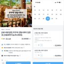 푸꾸옥 빈펄 사파리 5살 아이랑 후기 | 입장권 할인, 주트램 추천코스, 꿀팁