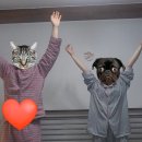 에치와이 해남-진도 판매점 | 11월 4박5일 전라도 여행/3일차는 완도에서 장흥