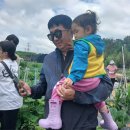 토끼와당근어린이집 | 👨‍🌾 꽃들아~산들아~감자꽃 따러가요👩‍🌾