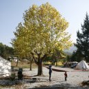 충주 반딧불 오토 캠핑장 이미지