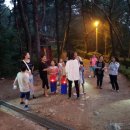 (야간)민화 이미지