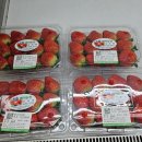 김영배농장 이미지