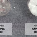 쾌세라 이미지