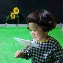 킨더아쿠아 이미지