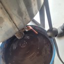 애니카랜드 대저점 이미지