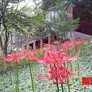 좌구산 휴양림 관리사무소 이미지