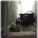 가야1동-6 이미지