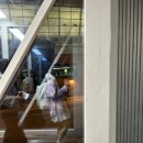 라이트짐 | 홍콩익스프레스 울트라라이트 탑승후기 온라인체크인 짐검사 홍콩공항버스 요금 시간표