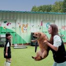 그린약품 이미지