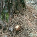 정봉아농장 이미지