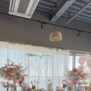 써머케이크