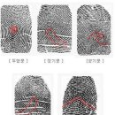 훗, 난 당신의 지문으로 성격과 어울리는 직업까지 알 수 있지. 이미지