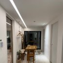 스테이 호꼼만 이미지