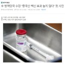 한국 백신 조달 상황 바로잡기 (팩트체크) 이미지