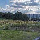 쾌청농장 이미지