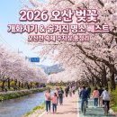 오산대역 공영주차장 | 오산 벚꽃 개화시기 및 오산 벚꽃 명소 Best