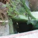 늘봄갈비 이미지