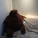 혜정이네갈비 이미지