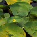 맥도생태공원 이미지