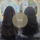 젤리 | 창원 상남동 미용실 추천 W살롱 젤리펌 후기