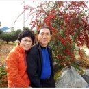 시목마을 이미지