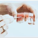 365효플란트치과의원 이미지