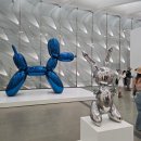 Dog Party | LA 다운타운 더 브로드 무료 현대미술관｜전시 관람시간 굿즈샵 후기