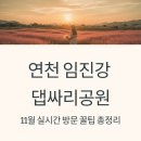 중면사무소 | 연천 임진강 댑싸리공원 11월 실시간 방문 꿀팁 총정리