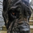 애니카랜드 양주점 이미지