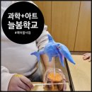 오해피데이지 이미지