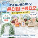 탑PC | 광교 돌사진 스튜디오 온더탑, 셀프 돌촬영 솔직후기