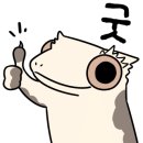 와우쥬 양산점 이미지