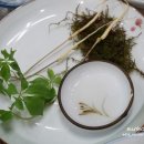 윤희네농장 이미지