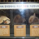 맥한의원 이미지