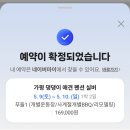 이쁜 댕댕이 | [가평 애견동반숙소] 가평 댕댕이 애견 펜션 실버 내돈내산 솔직후기