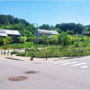 세종코퍼레이션주 이미지
