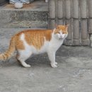 고우니미용실 이미지
