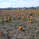 들녘농장 이미지